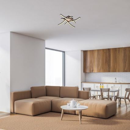 Rabalux - LED Οροφία Φωτιστικό 4xLED/20W/230V