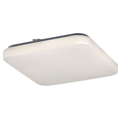 Rabalux - Φωτιστικό οροφής LED 1xLED/20W/230V 28x28 cm