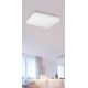 Rabalux - Φως οροφής LED 1xLED/32W/230V