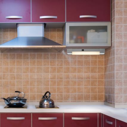 Rabalux - LED Φωτιστικό πάγκου BAND LIGHT 1xG13/10W/230V 39,5 cm ασημί