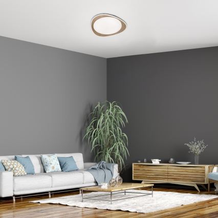 Rabalux - LED φωτιστικό οροφής, 24W/230V, διάμετρος 45 cm