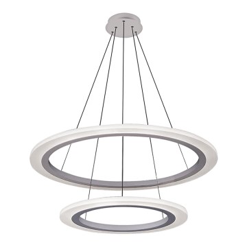 Rabalux 2429 - Πολύφωτο LED ADRIENNE LED/62W/230V ασήμι