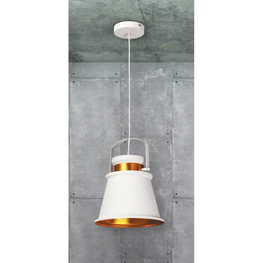 Rabalux 2571 - Κρεμαστό φως DUSAN E27/40W