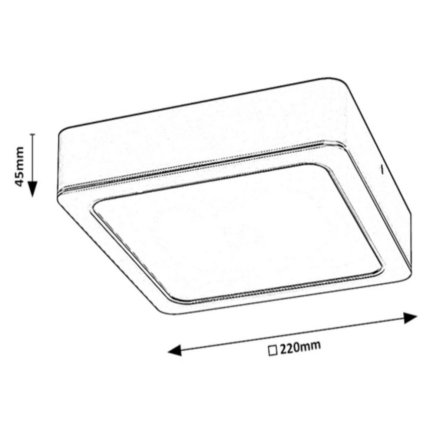 Rabalux - LED Οροφωτιστικό LED/24W/230V 22x22 εκ.