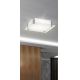 Rabalux 3066 - Φως οροφής LED CARL LED LED/12W/230V λευκό
