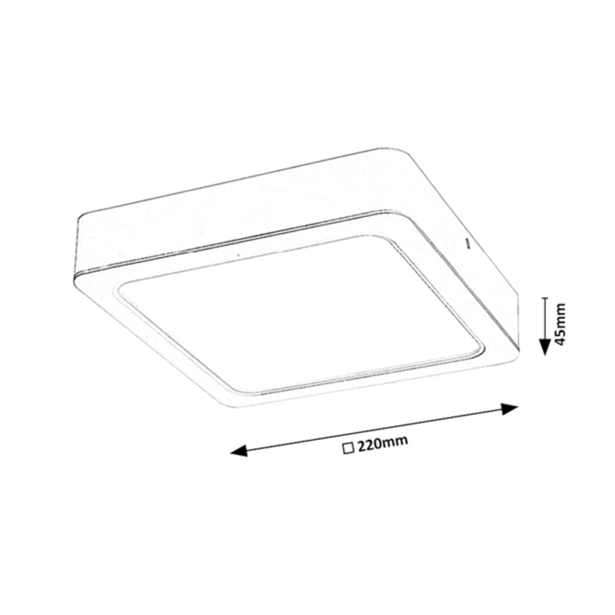Rabalux - Φωτιστικό οροφής LED LED/24W/230V 22x22 cm