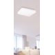 Rabalux - Φως οροφής LED 1xLED/20W/230V