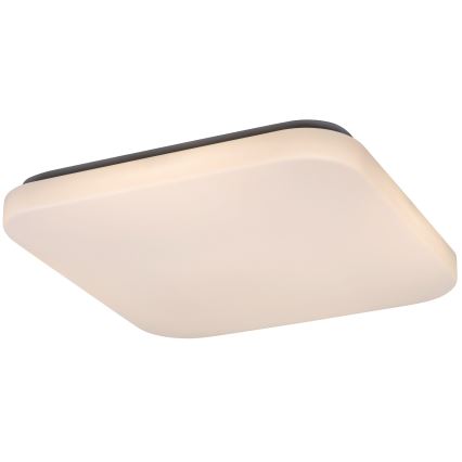 Rabalux - Φωτιστικό οροφής LED LED/32W/230V 32x32 cm