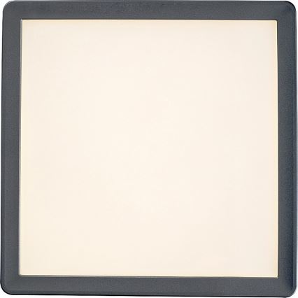 Rabalux - Φως οροφής μπάνιου LED LED/15W/230V IP44