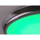 Rabalux - LED RGB Φωτιστικό οροφής μπάνιου dimming LED/18W/230V διάμετρος 30 cm 3000-6500K IP44 + τηλεχειριστήριο