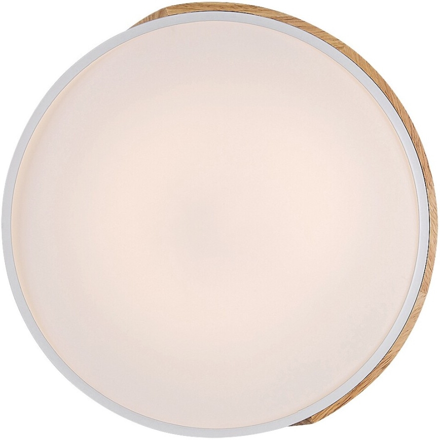 Rabalux - Φωτιστικό οροφής LED LED/24W/230V λευκό