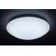 Rabalux - Φως οροφής dimmer LED RGB na τηλεχειριστήριο LED/16W/230V
