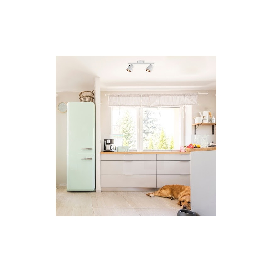 Rabalux 5046 - Φως σποτ LED SOLANGE 2xLED/6W/230V