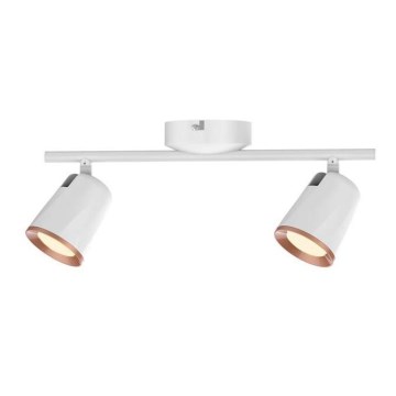 Rabalux 5046 - Φως σποτ LED SOLANGE 2xLED/6W/230V