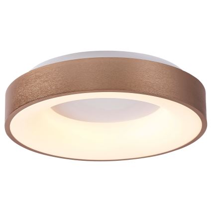 Rabalux 5052 - Φως οροφής LED CARMELA LED/30W/230V