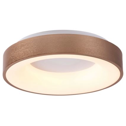 Rabalux 5053 - Φως οροφής LED CARMELA LED/50W/230V