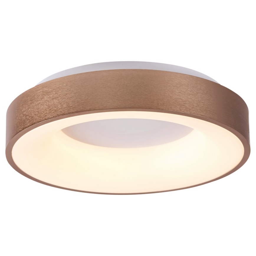 Rabalux 5053 - Φως οροφής LED CARMELA LED/50W/230V