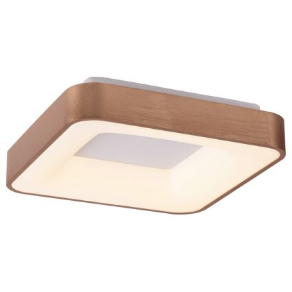 Rabalux - Φωτιστικό οροφής LED CARMELA LED/30W/230V 40x40 cm
