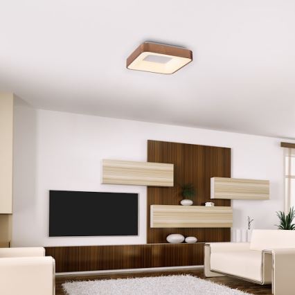 Rabalux - Φωτιστικό οροφής LED CARMELA LED/30W/230V 40x40 cm