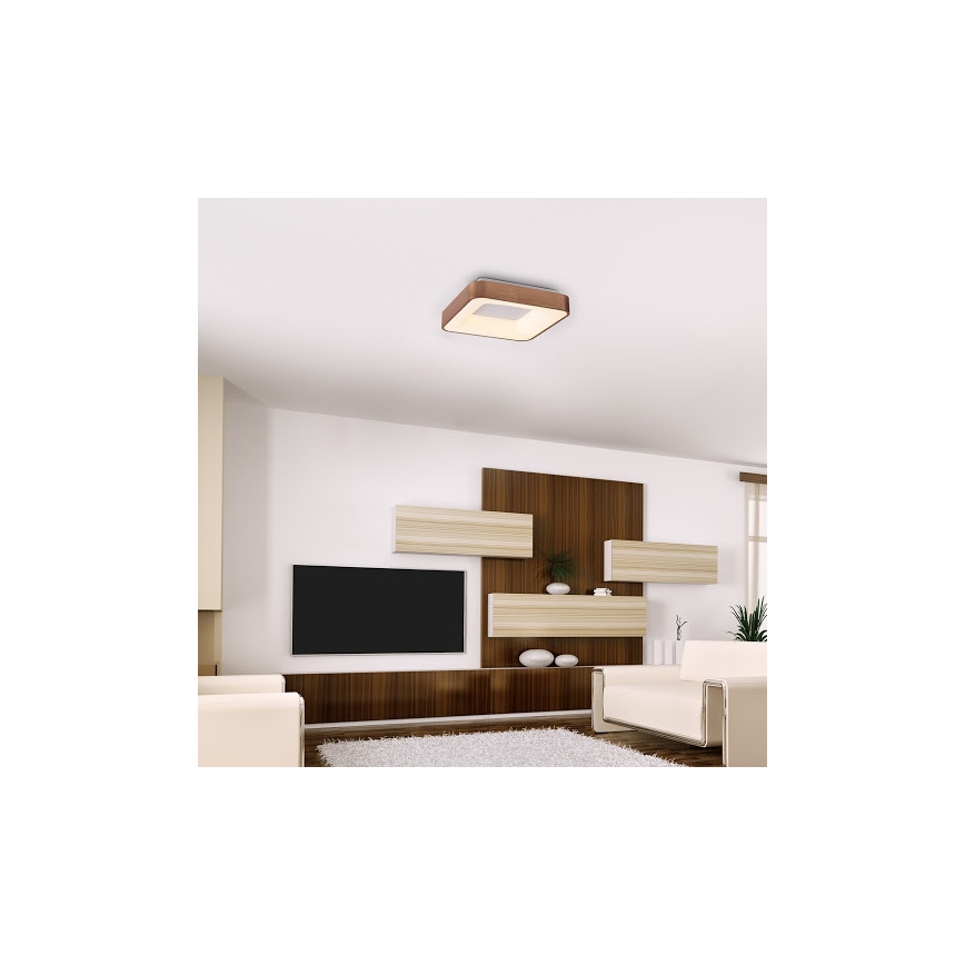 Rabalux - Φωτιστικό οροφής LED CARMELA LED/30W/230V 40x40 cm
