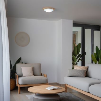 Rabalux - Φωτιστικό οροφής 1xE27/60W/230V διάμετρος 30 cm