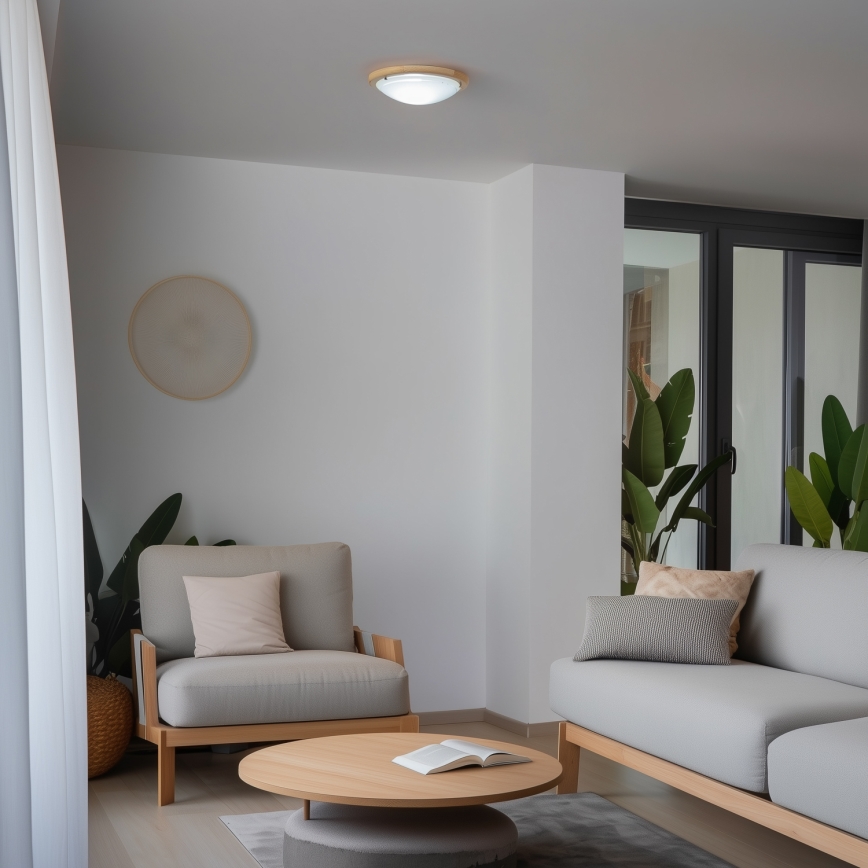 Rabalux - Φωτιστικό οροφής 1xE27/60W/230V διάμετρος 30 cm