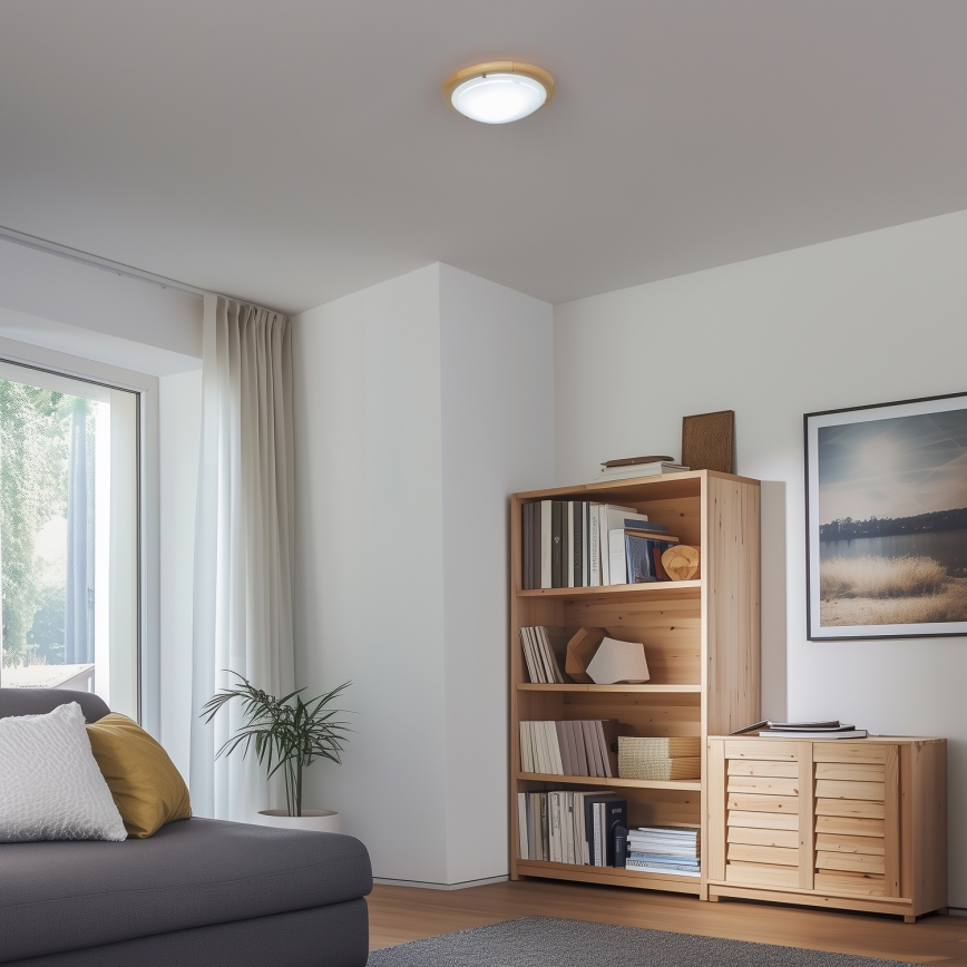 Rabalux - Φωτιστικό οροφής 1xE27/60W/230V διάμετρος 30 cm