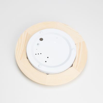 Rabalux - Φωτιστικό οροφής 1xE27/60W/230V διάμετρος 30 cm