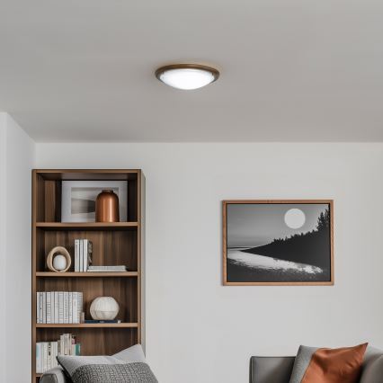 Rabalux - Φωτιστικό οροφής 1xE27/60W/230V διάμετρος 30 cm