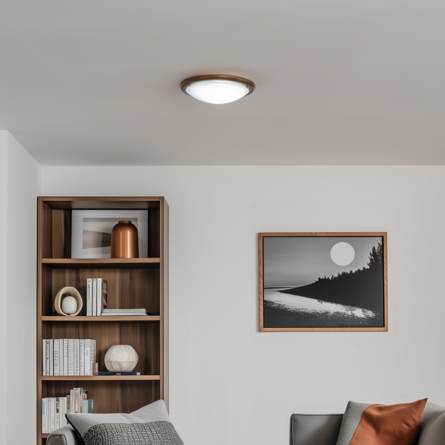 Rabalux - Φωτιστικό οροφής 1xE27/60W/230V διάμετρος 30 cm