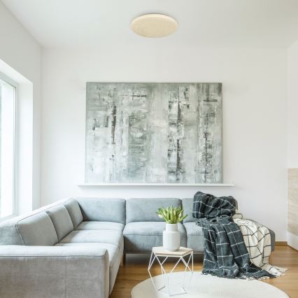 Rabalux - Φωτιστικό οροφής LED LED/32W/230V διάμετρος 38 cm
