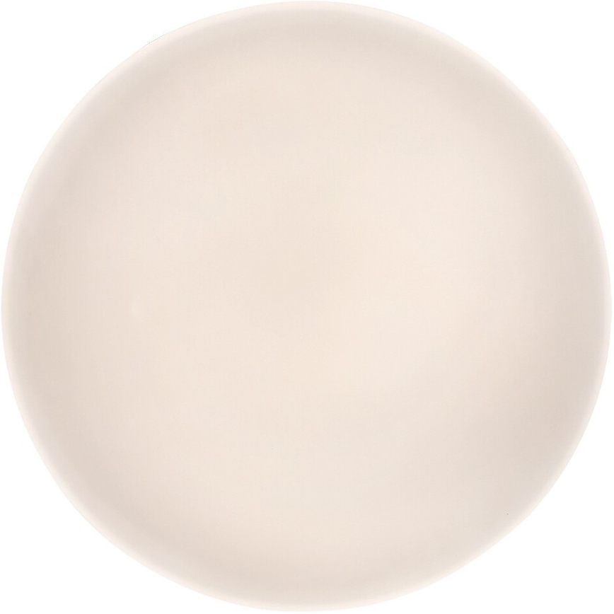 Φως οροφής dimmer LED LED/60W/230V