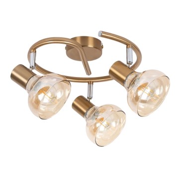 Rabalux 5549 - Φωτιστικό σποτ HOLLY 3xE14/40W/230V χρυσαφί