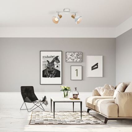 Rabalux - Φωτιστικό σποτ 2xE14/40W/230V λευκό