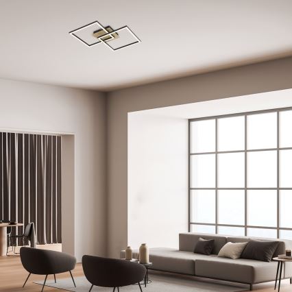 Rabalux - Φωτιστικό οροφής LED LED/24W/230V