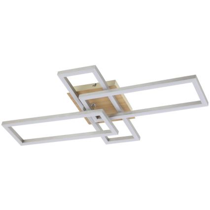 Rabalux - Φωτιστικό οροφής LED LED/24W/230V