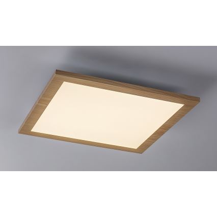 Rabalux - LED Πάνελ πλαφονιέρα LED/12W/230V 4000K