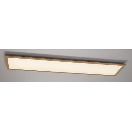 Rabalux - Πάνελ πλαφονιέρα LED LED/40W/230V 4000K