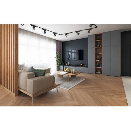 Rabalux - LED Σποτ για 1-φασική ράγα LED/5W/24V 3000K μαύρο