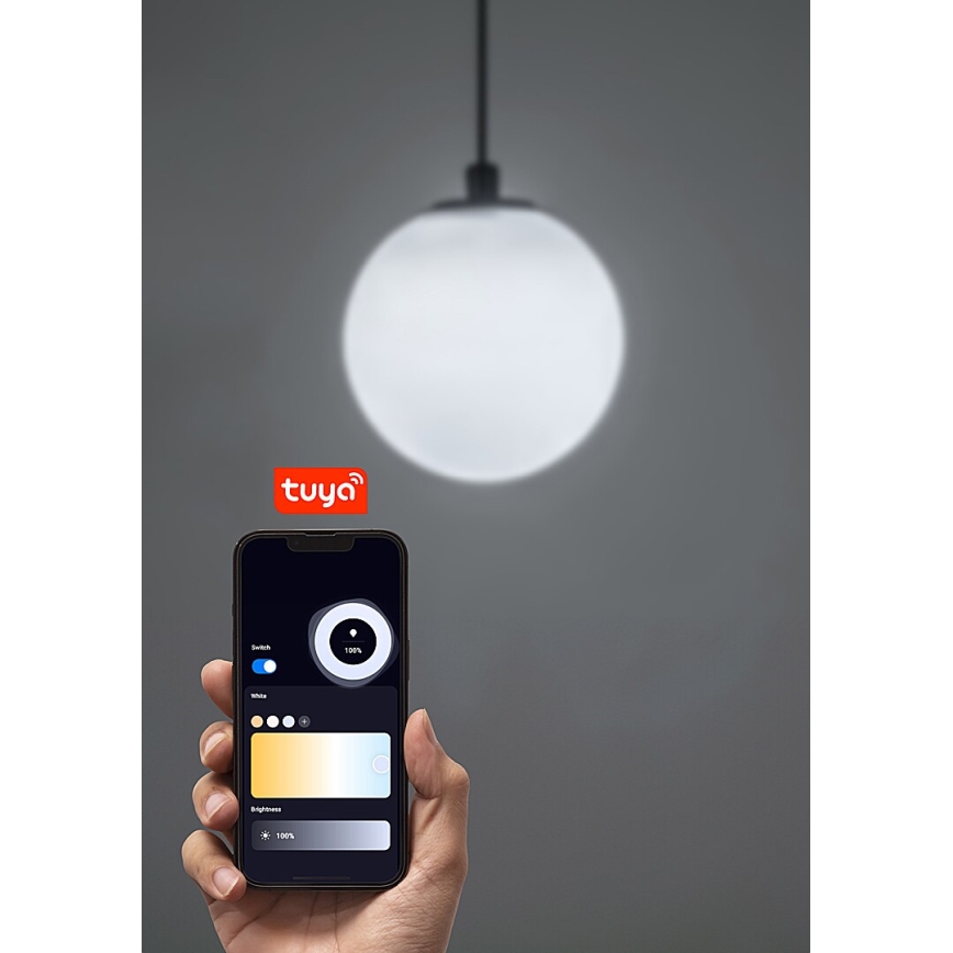 Rabalux - Led Dimmable κρεμαστό φωτιστικό οροφής για 1-φασική ράγα LED/5W/24V 2700-5500K Wi-Fi Tuya μαύρο