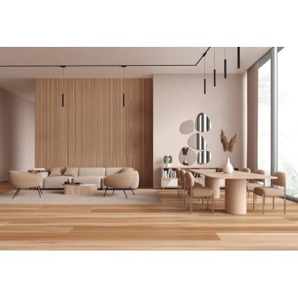 Rabalux - Led Dimmable κρεμαστό φωτιστικό οροφής για 1-φασική ράγα LED/5W/24V 2700-5500K Wi-Fi Tuya μαύρο