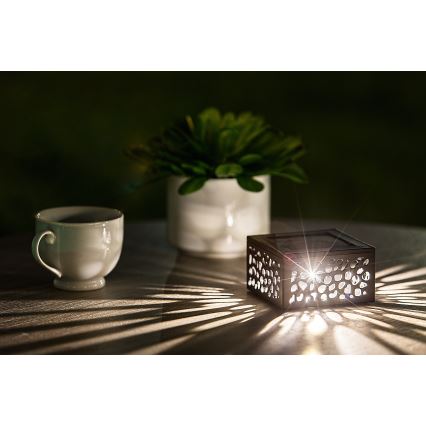 Rabalux - Ηλιακό φωτιστικό LED LED/0,5W/1,2V IP44 600 mAh