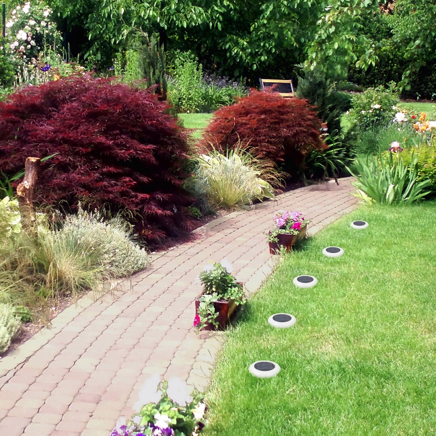 Rabalux - LED RGB Ηλιακό φωτιστικό LED/0,6W/3,7V IP65 1200 mAh