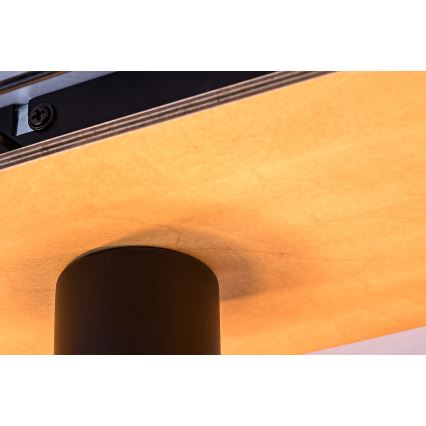 Rabalux - Φωτιστικό οροφής 3xE27/40W/230V