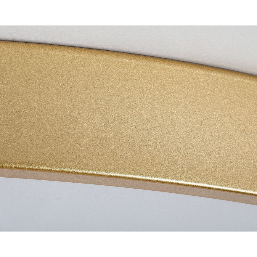 Rabalux - LED Dimmable φωτιστικό οροφής LED/60W/230V 3000-6000K + τηλεχειριστήριο