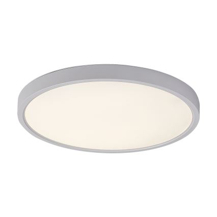 Rabalux - Φωτιστικό οροφής LED LED/24W/230V 4000K διάμετρος 30 cm λευκό