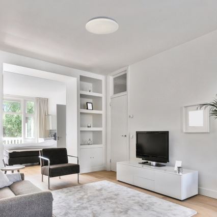 Rabalux - Φωτιστικό οροφής LED, 12W, 230V, 4000K, διάμ. 25,5 cm