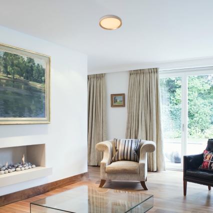 Rabalux - LED Οροφωτιστικό LED/25W/230V 3000K διάμ. 38 εκ.