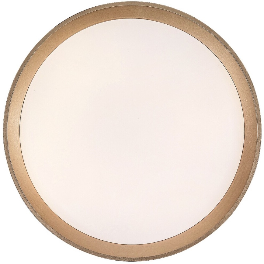 Rabalux - Φωτιστικό οροφής LED LED/25W/230V 3000K διάμετρος 38 cm