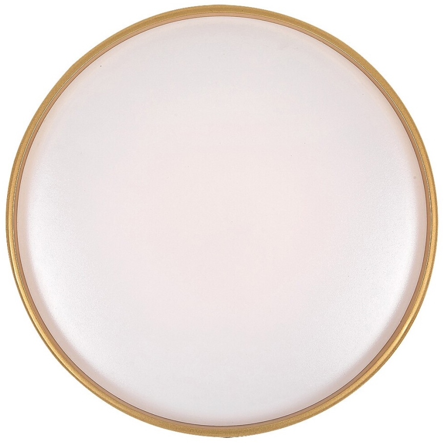 Rabalux - LED Dimmable φωτιστικό οροφής LED/24W/230V 3000-6500K + τηλεχειριστήριο